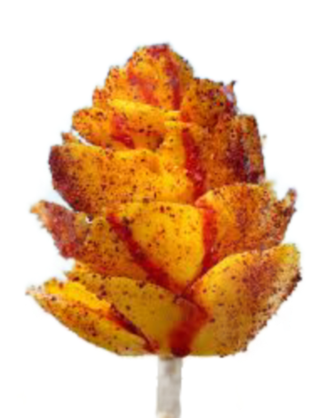 Mango on a Stick