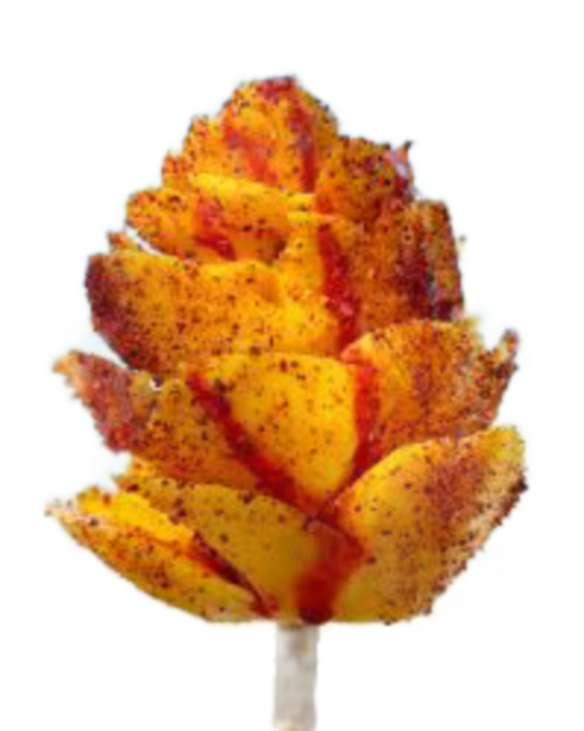 Mango on a Stick